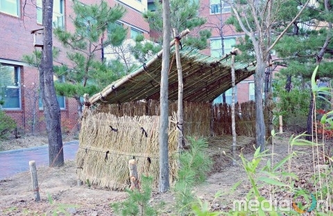 충남연구원, 전직원 식목행사 개최