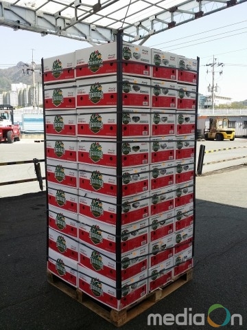 만나몰, 강원도 산불 이재민 돕기에 동참